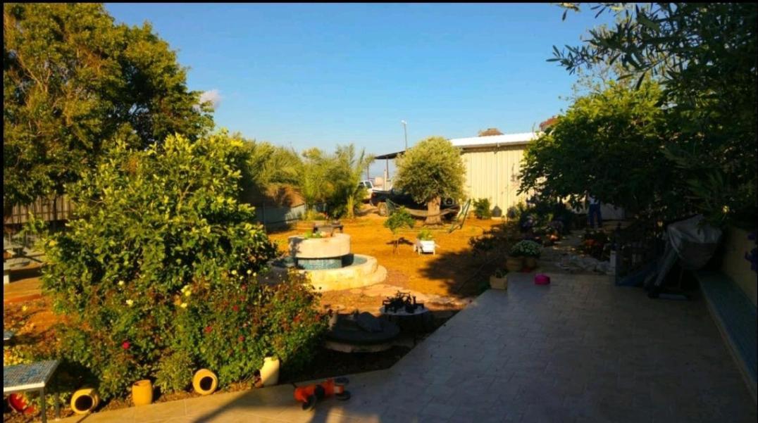 בחצר של טובה Apartment Hazon Ngoại thất bức ảnh
